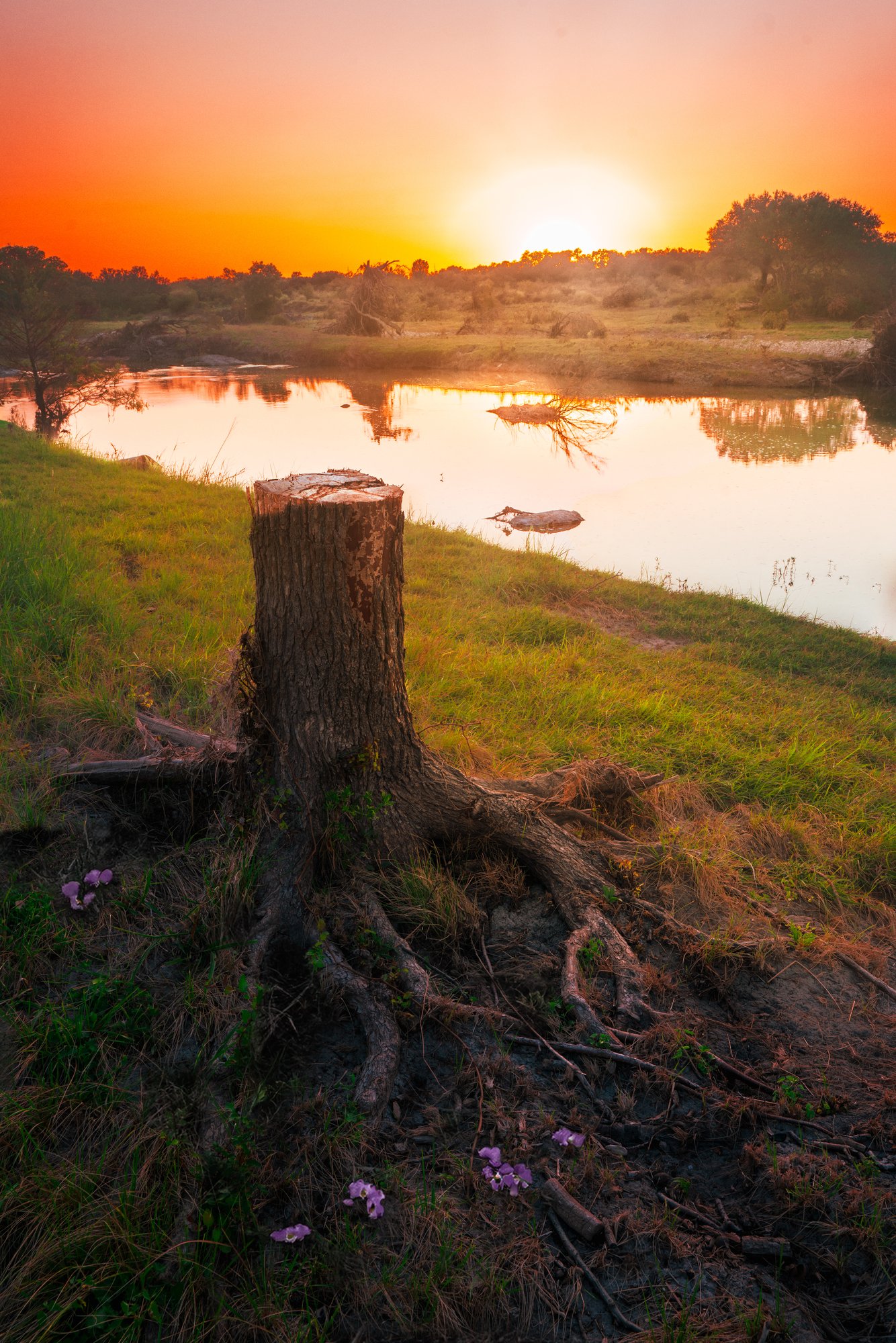 Texas Sunset
