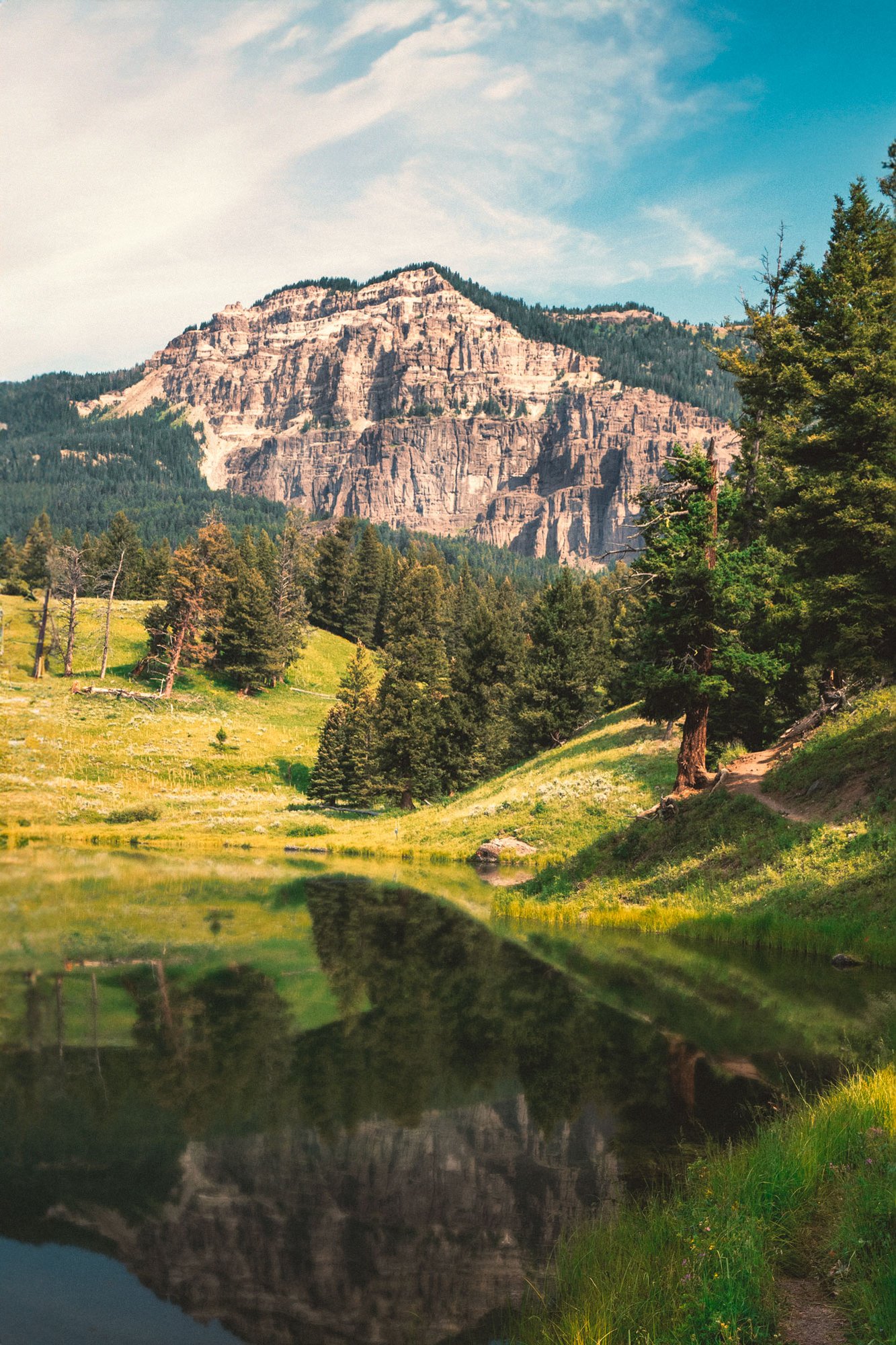 Trout Lake, Yellowstone