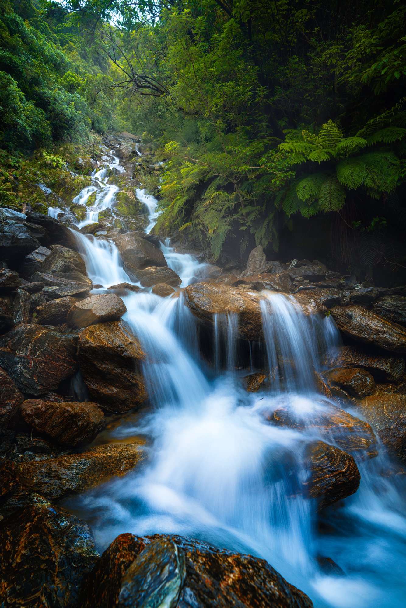 Westland Tai Poutini, New Zealand